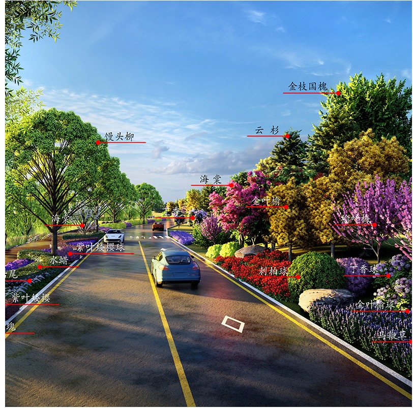 市政道路景观设计国道省道乡村道路绿化景观设计效果图施工图