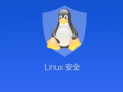 linux服务器代维服务+服务器安全服务+1个网站安全服务