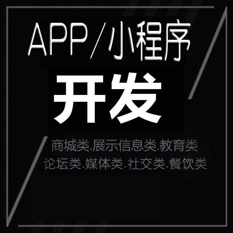企业官网商城电商论坛成品/定制APP开发IOS安卓phph5