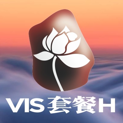 VI套餐H品牌企业形象vi设计VIS视觉系统全套设计平面设计