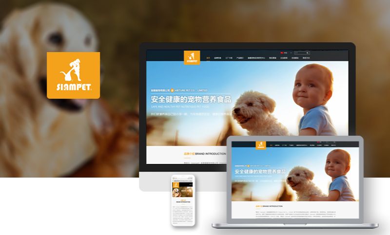 宠物食品企业公司官网站建设开发官方网页网站设计制作定制开发
