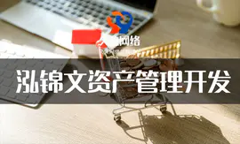 深圳市泓锦文资产管理有限公司网站建设制作定制开发