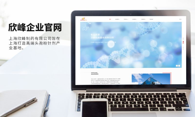 在上海打造高端头孢粉针剂产业基地——欣峰制药官网