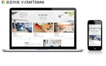 【辰匠科技】网站WEB设计制作及CMS内容管理系统