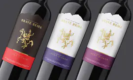 【睿玛】红酒业葡萄酒包装设计市场调研原型提案完整品牌文化策划