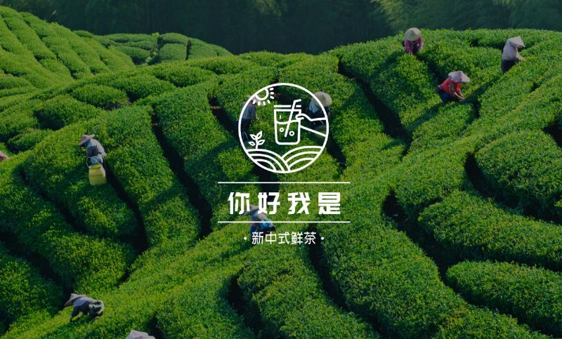 你好新中式茶高端原创logo设计