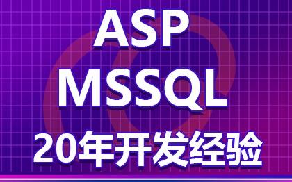 ASP+MSSQL Server网站定制开发/网站二次开发