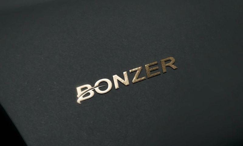 BONZER微波雷达情侣结婚皮肤管理学校标志动漫logo设计