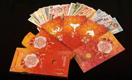 《钱程似锦》外国钱币礼盒创意<hl>插画</hl>包装设计
