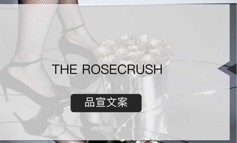 The rosecrush 品宣<hl>文案</hl>