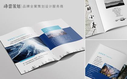 企业商务科技**医疗传媒教育招商画册设计产品宣传册纪念册设计