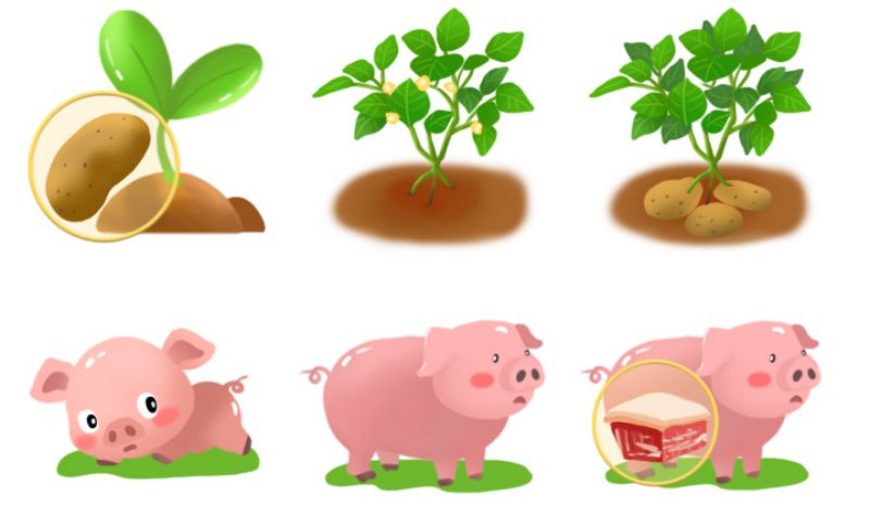 <hl>小程序游戏</hl>界面农作物生长插画设计9组手绘图案原创儿童动漫