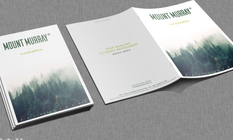 产品手册设计宣传册宣传单画册设计折页设计版面排版设计