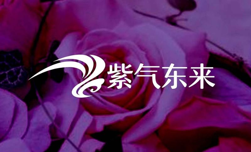 紫气东来陕西餐饮企业公司简约时尚图形<hl>取名</hl>起名店标logo设计