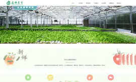 农产品农村电商行业网站定制模板建站软件开发微商城