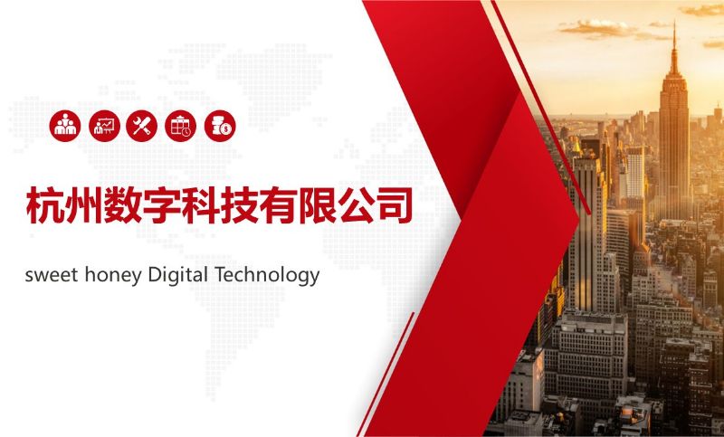 【PPT设计】杭州XX数字科技有限公司
