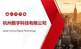 【PPT设计】杭州XX数字科技有限<hl>公司</hl>