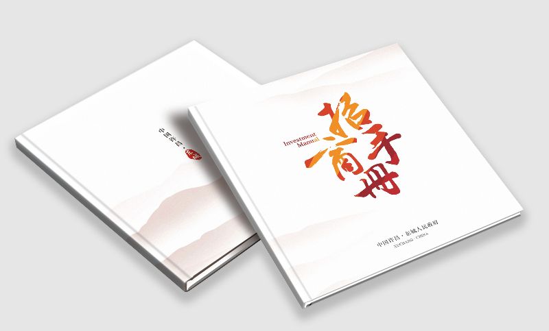 企业画册产品手册外贸catalog宣传册折页设计