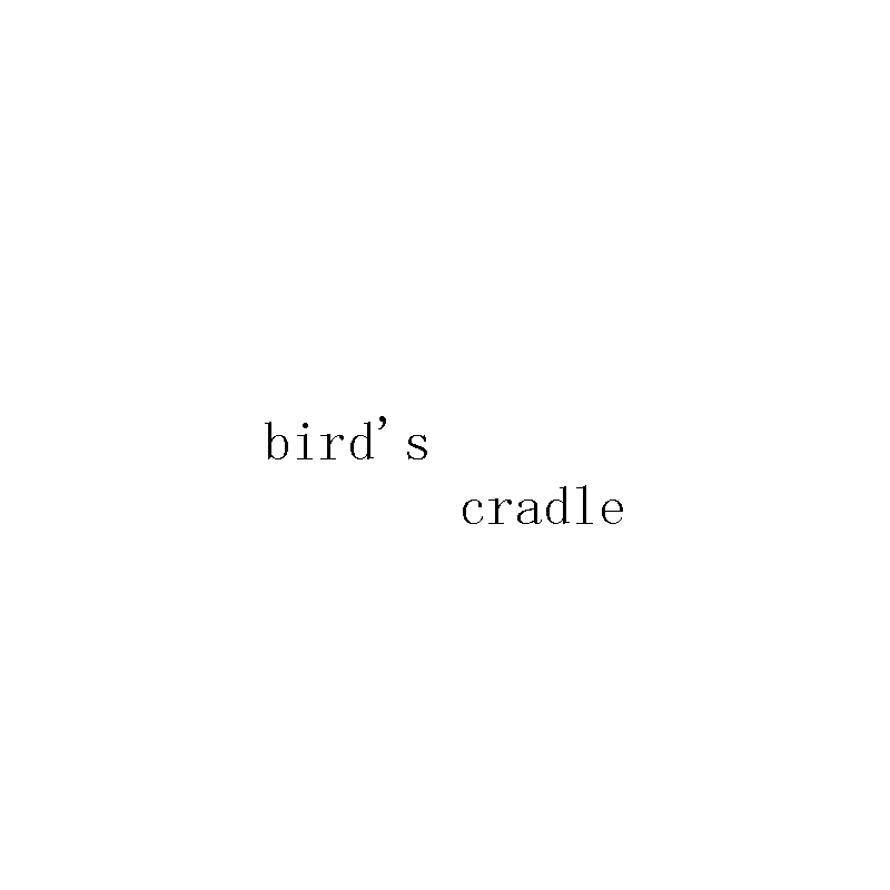 bird's cradle