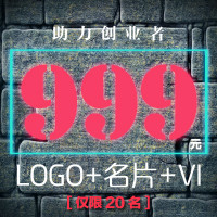 【999元企业VI+logo+名片】（十项含名片）/限20名