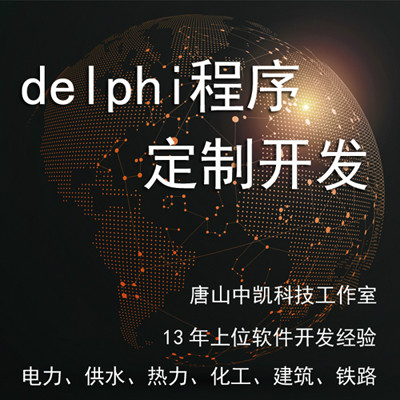 Delphi程序定制开发，13年软件开发经验