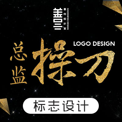 善向企业品牌LOGO设计画册设计品牌全案VI包装设计海报设计